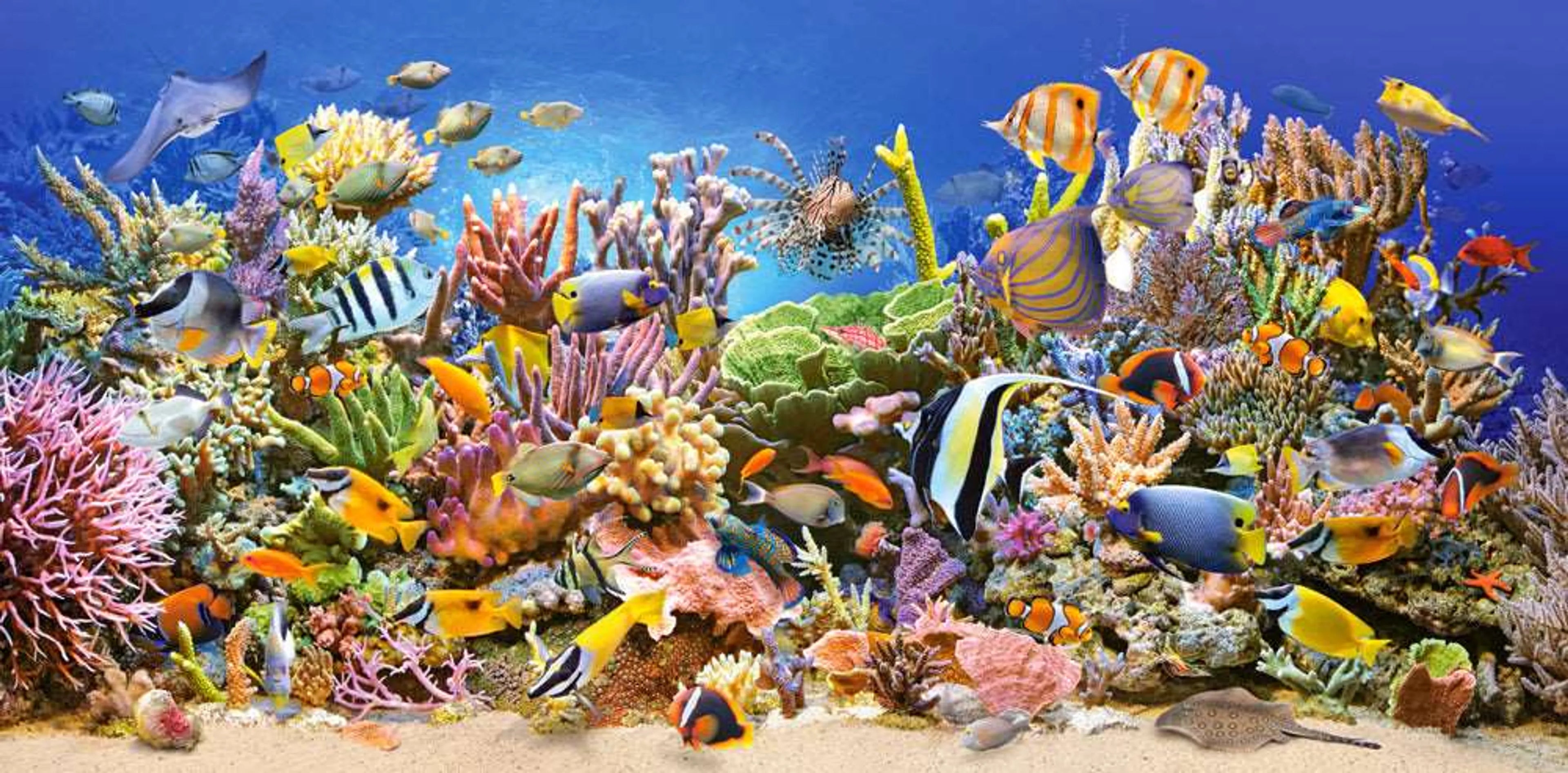 Underwater life, 4000 Piece Jigsaw Puzzle